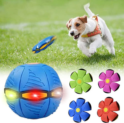 Pet Purrfect Palace Dog Frisbee