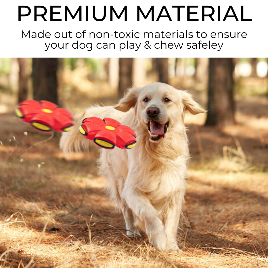 Pet Purrfect Palace Dog Frisbee